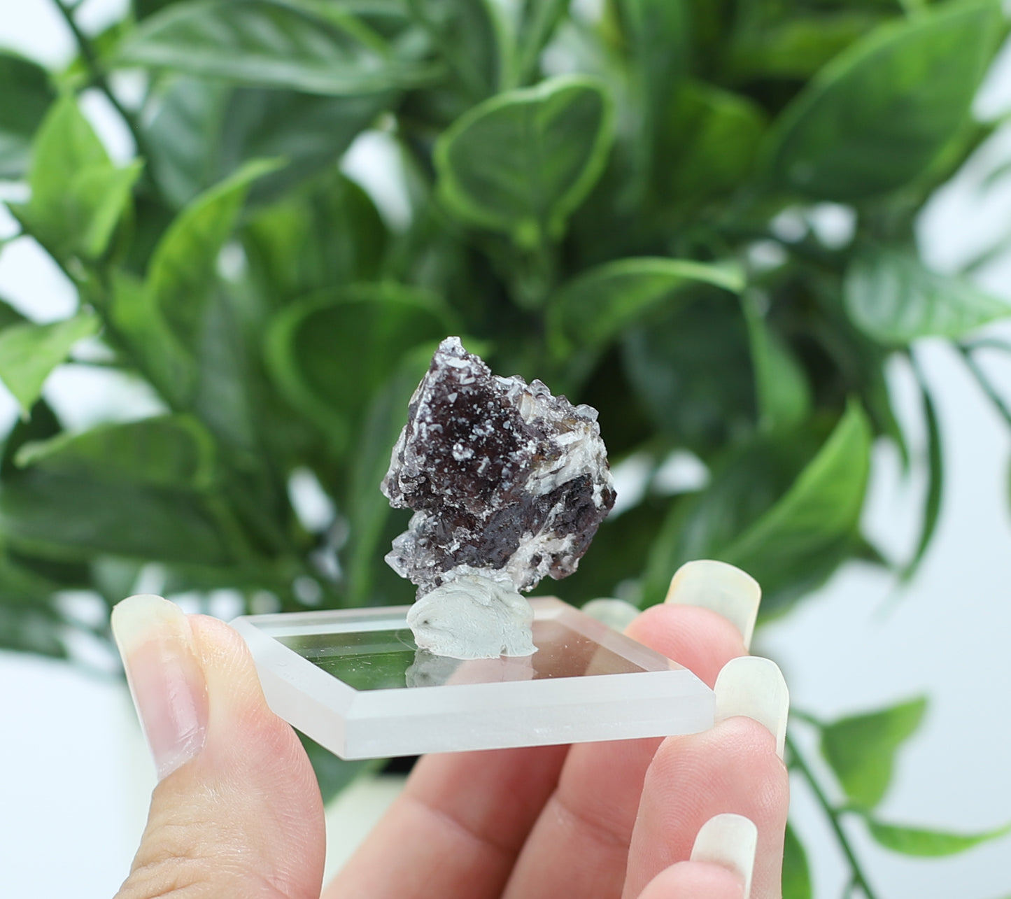 Manganese and Quartz Crystal
