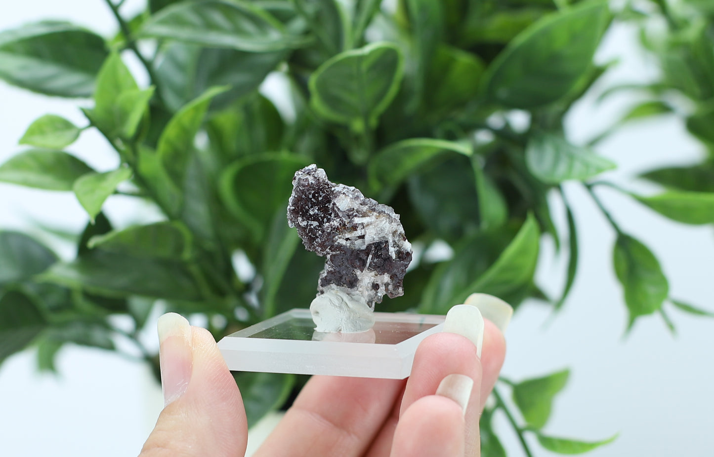 Manganese and Quartz Crystal