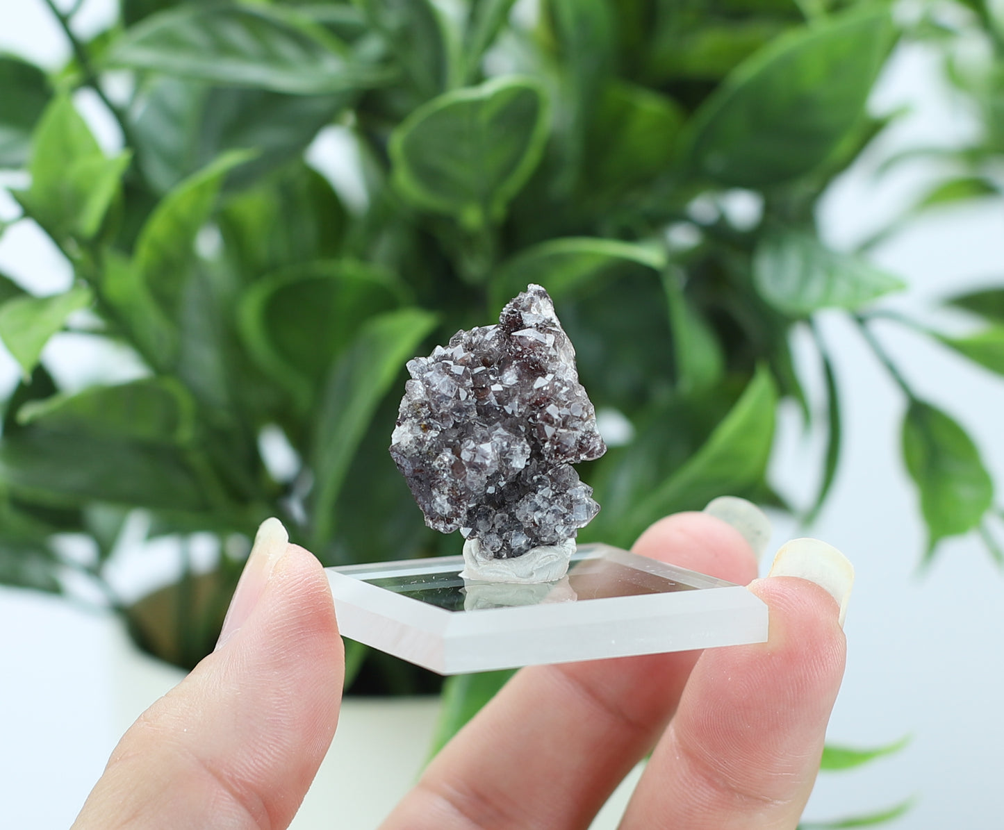 Manganese and Quartz Crystal