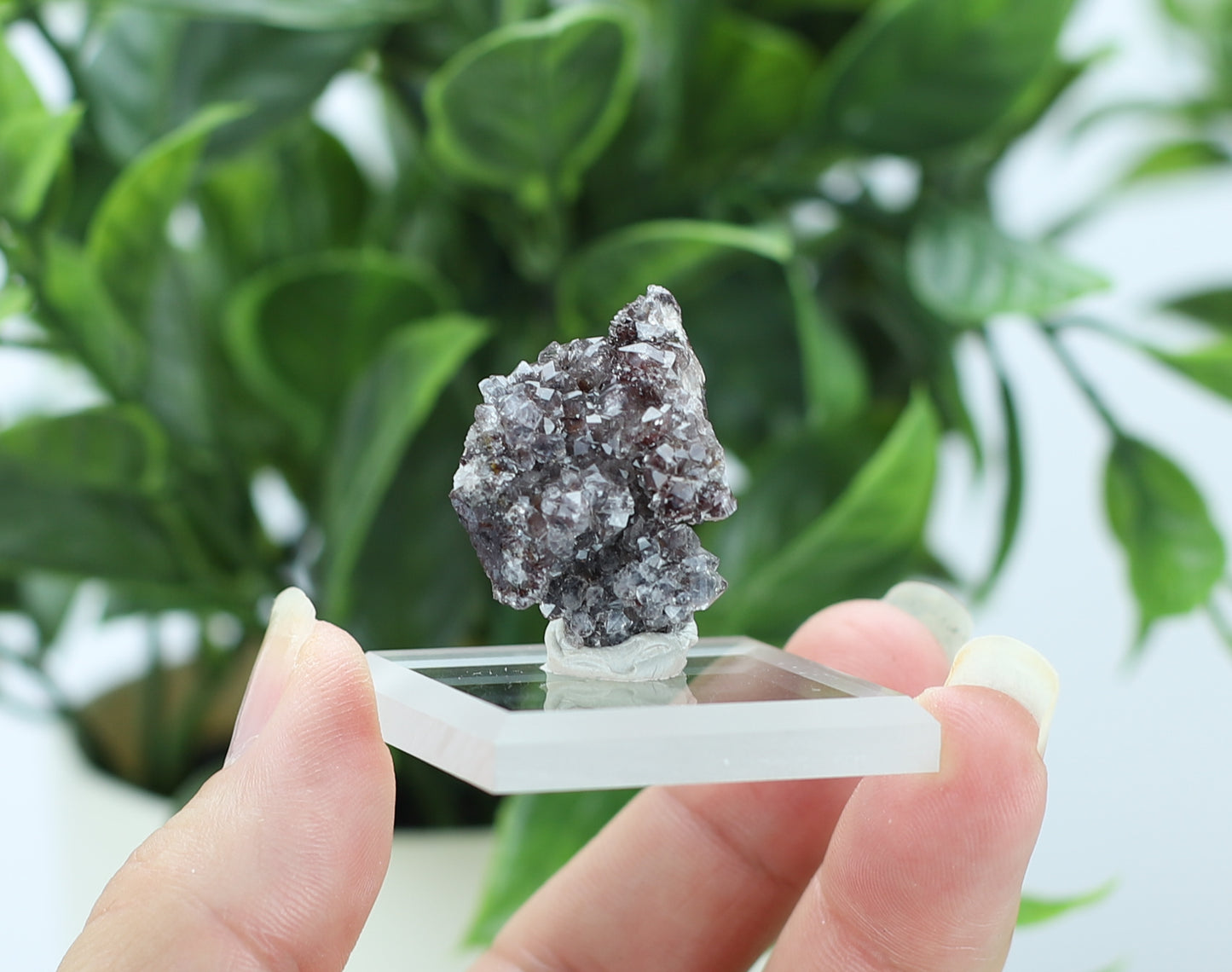 Manganese and Quartz Crystal