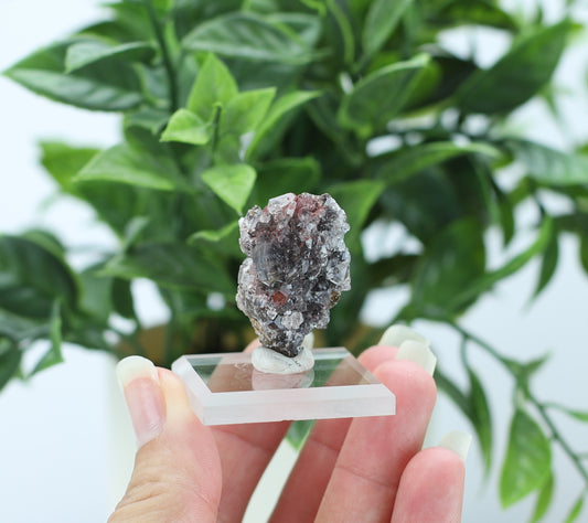 Manganese and Quartz Crystal