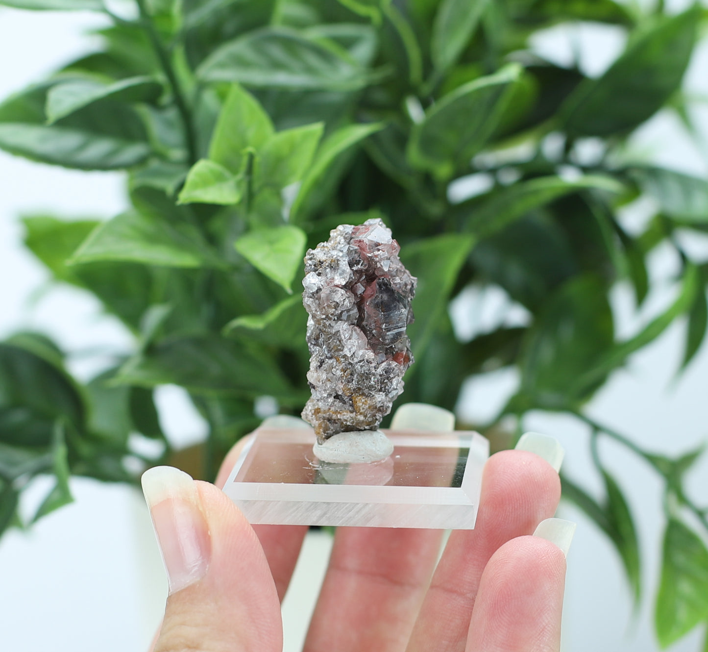Manganese and Quartz Crystal