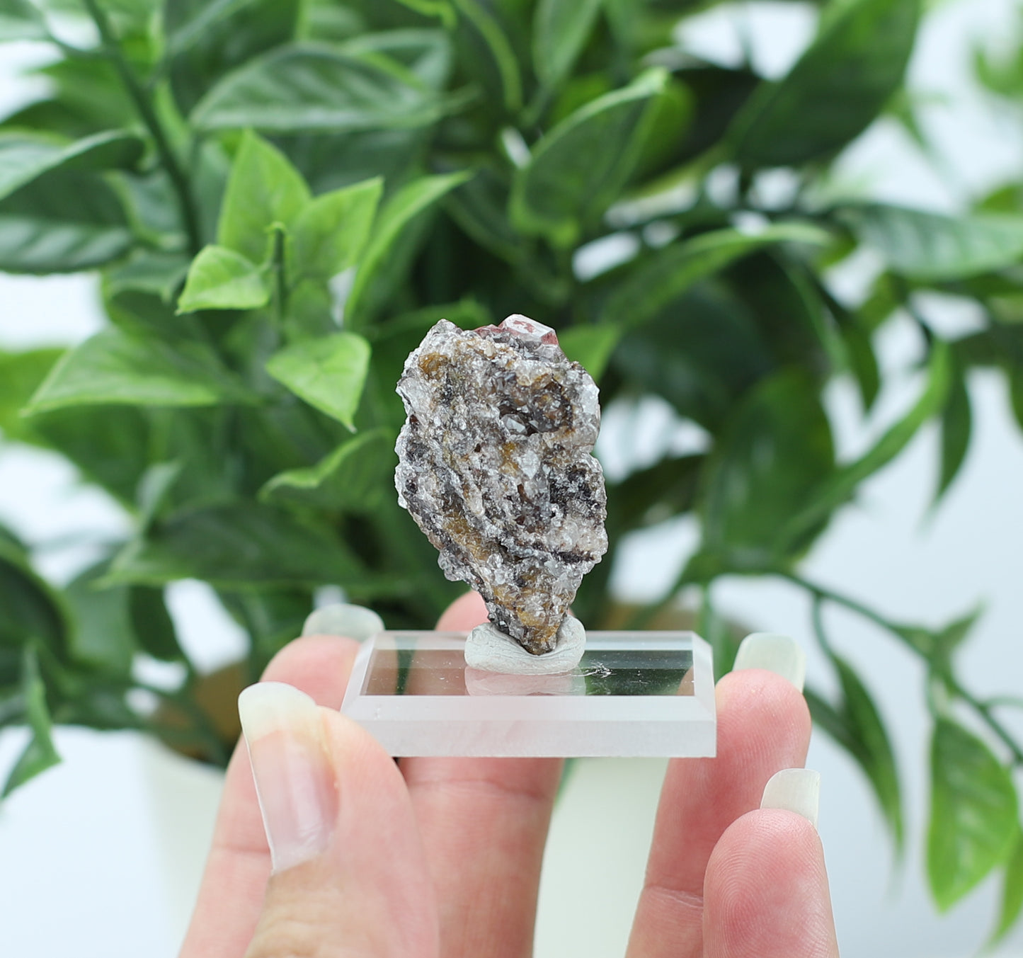 Manganese and Quartz Crystal