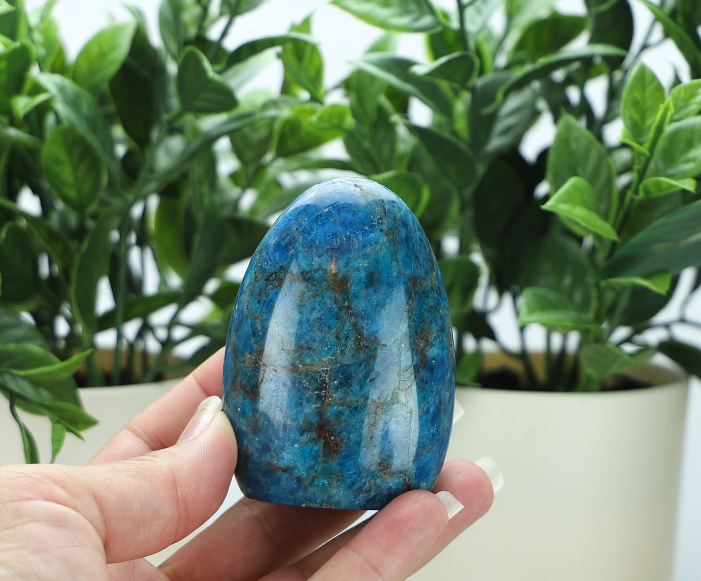 Apatite Freeform