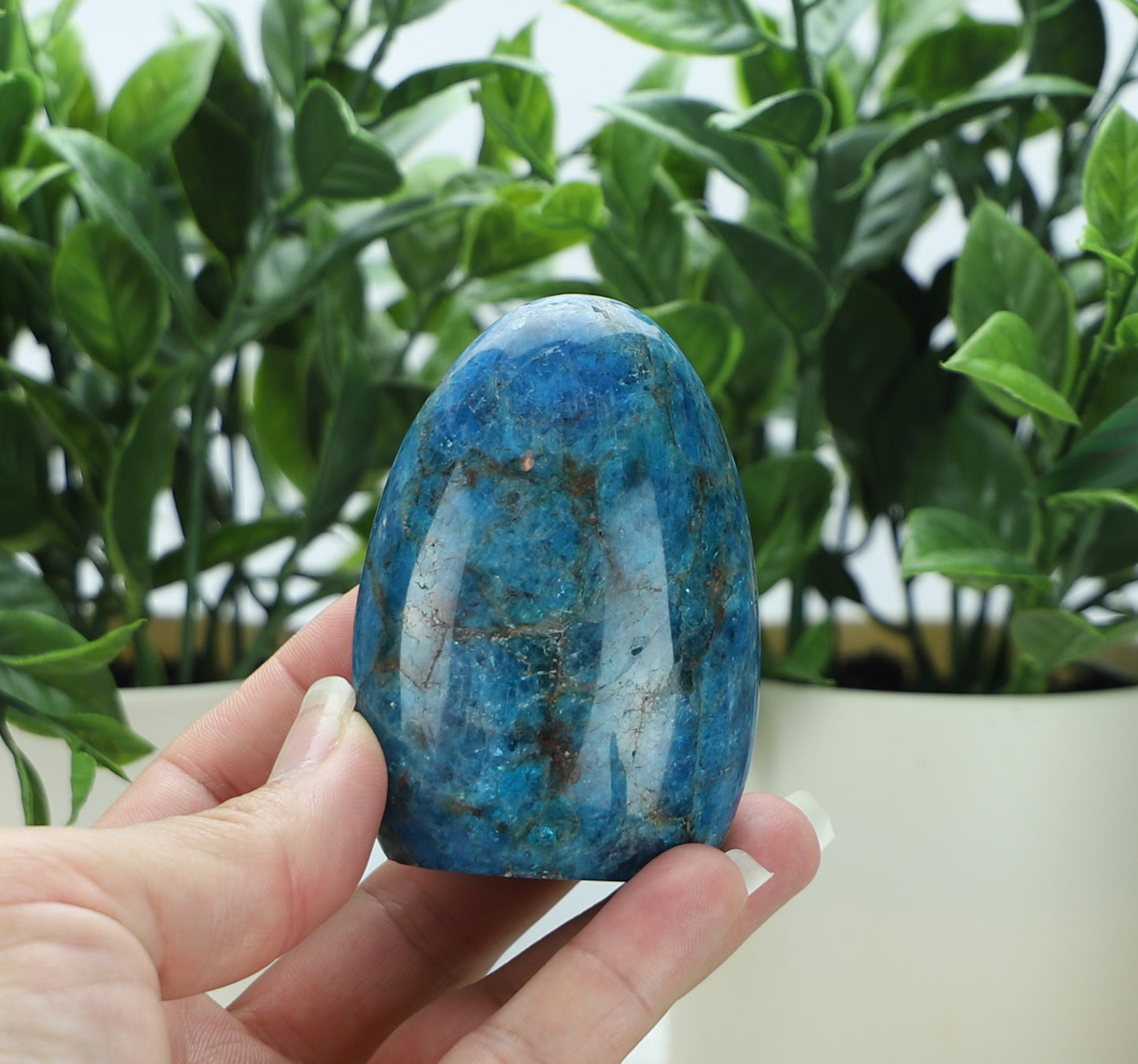 Apatite Freeform