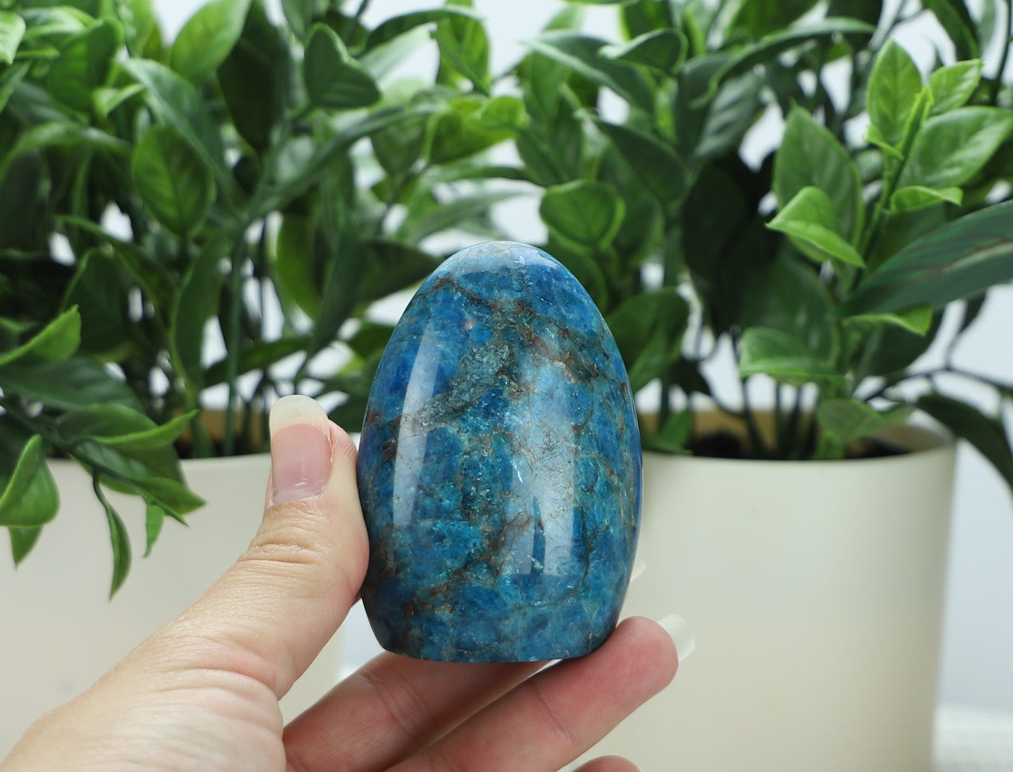 Apatite Freeform
