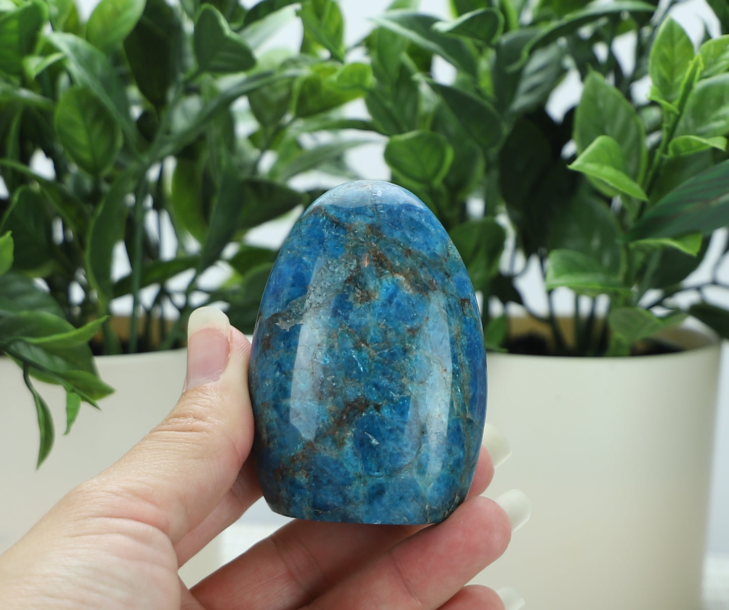Apatite Freeform