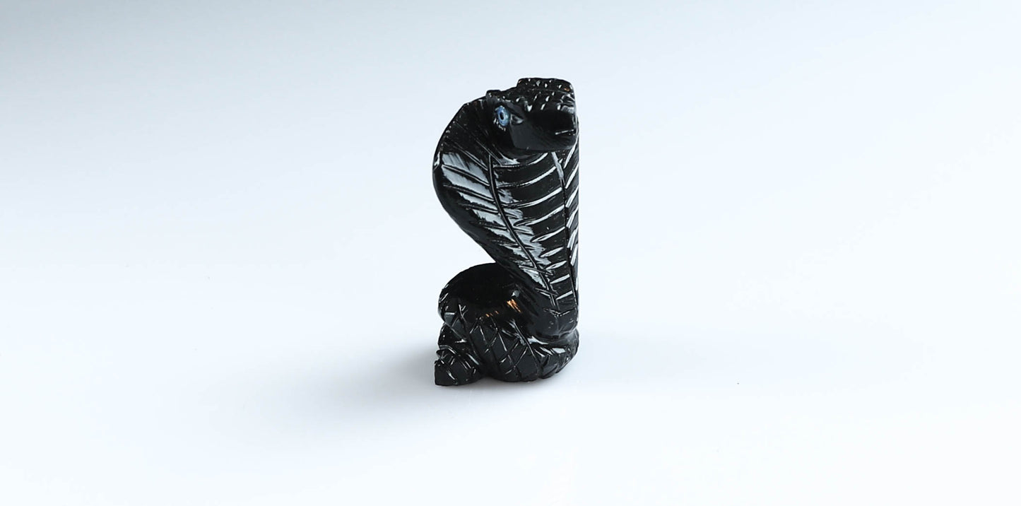 Onyx Snake