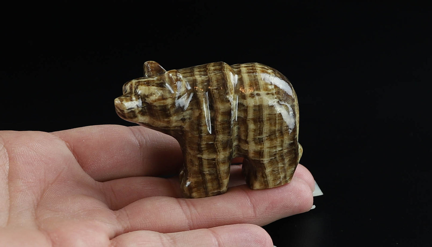 Onyx Bear