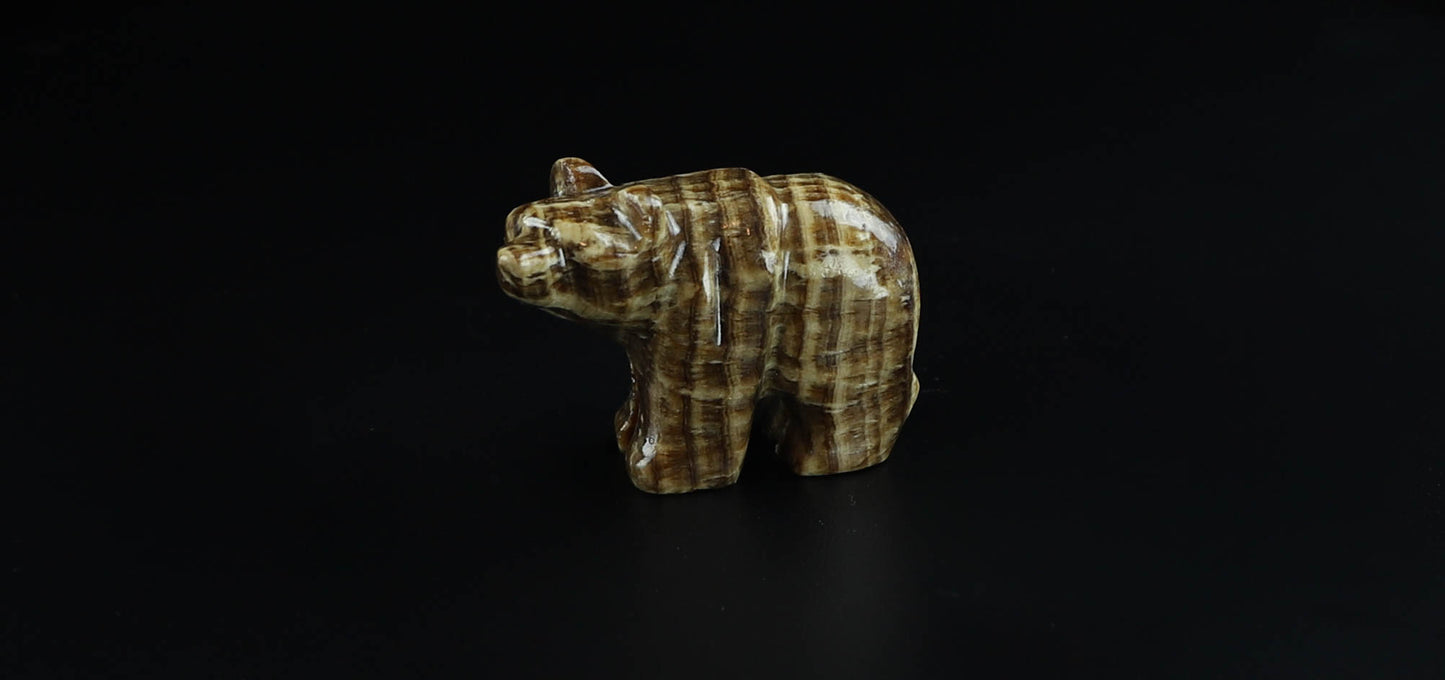 Onyx Bear