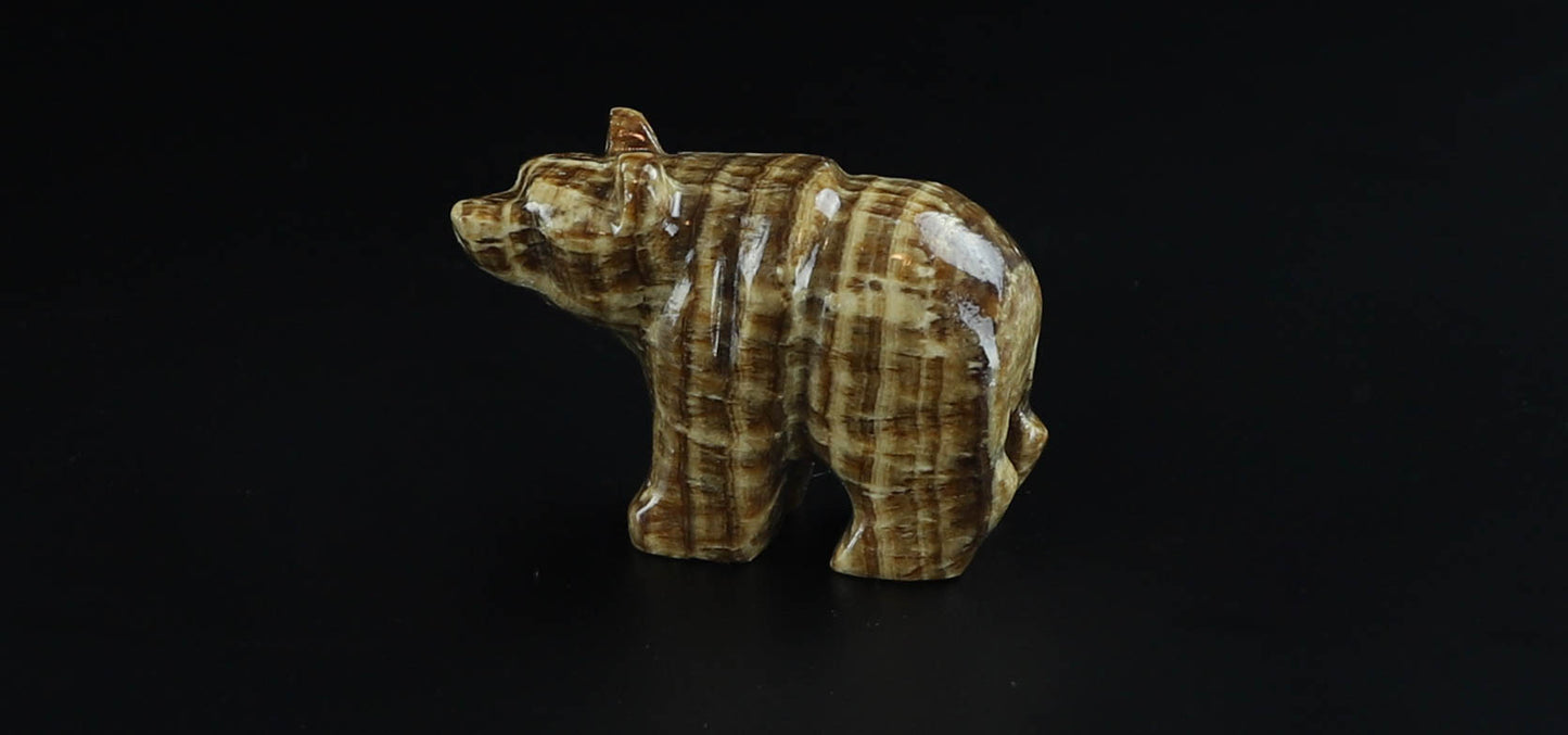 Onyx Bear