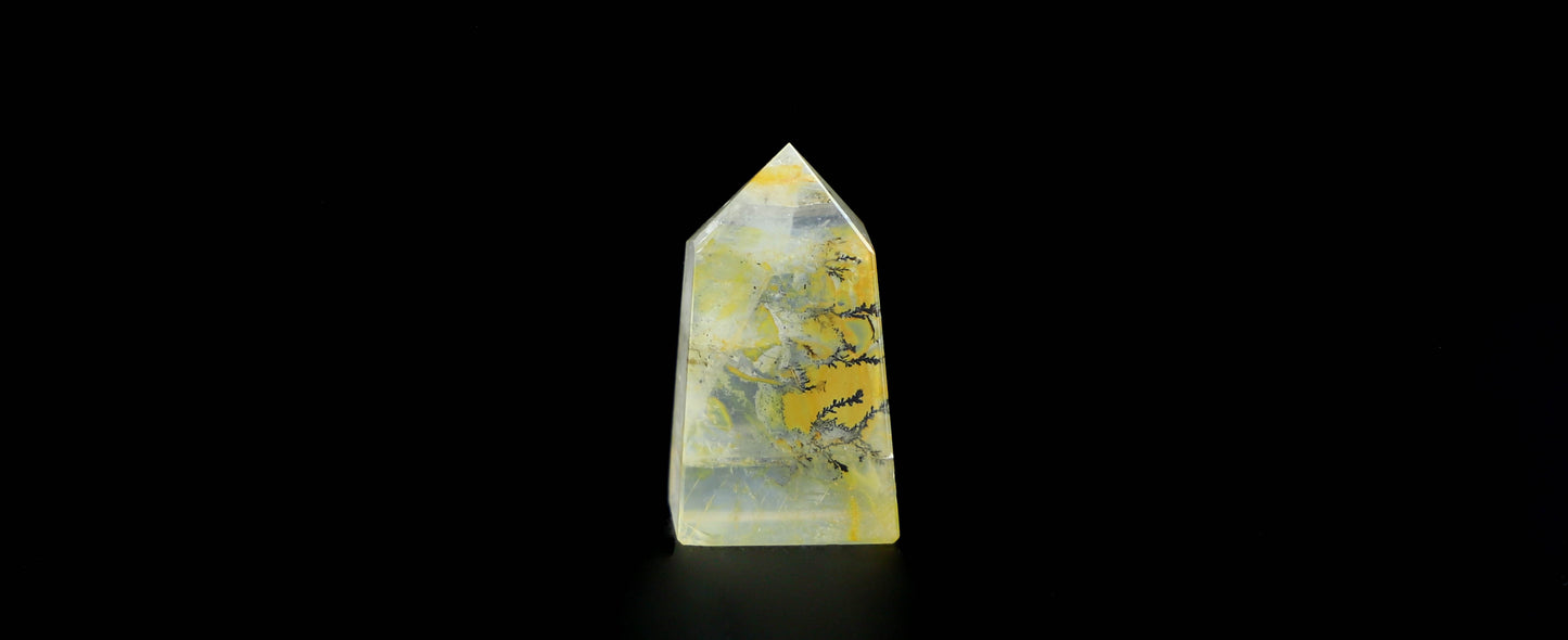 Dendritic Quartz Point