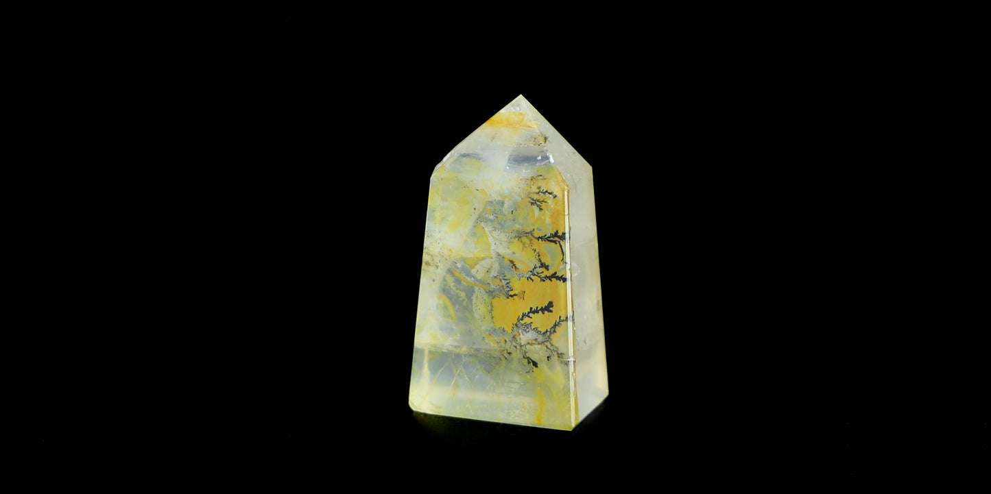 Dendritic Quartz Point