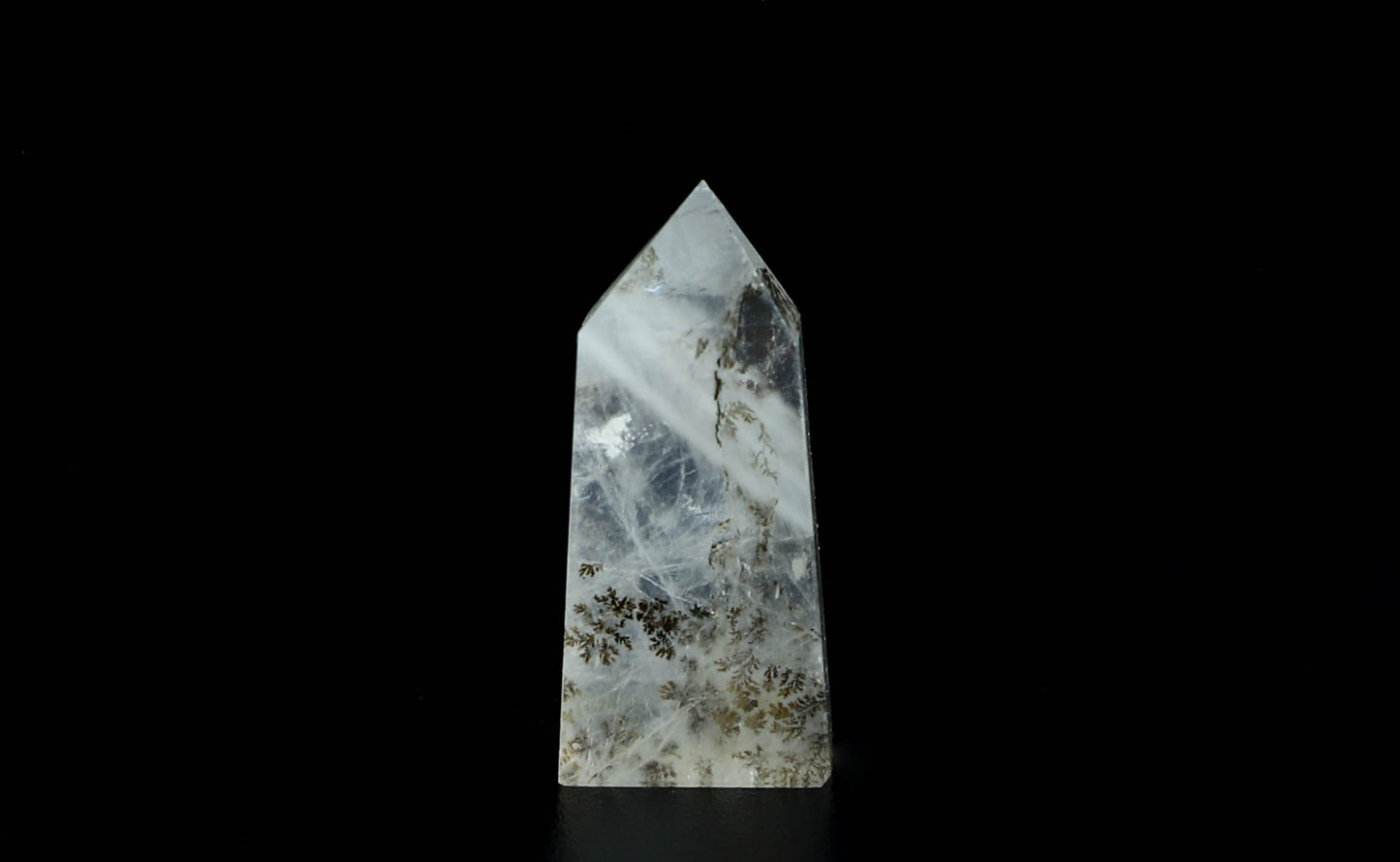 Dendritic Quartz Point