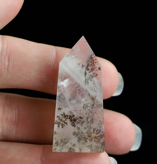Dendritic Quartz Point