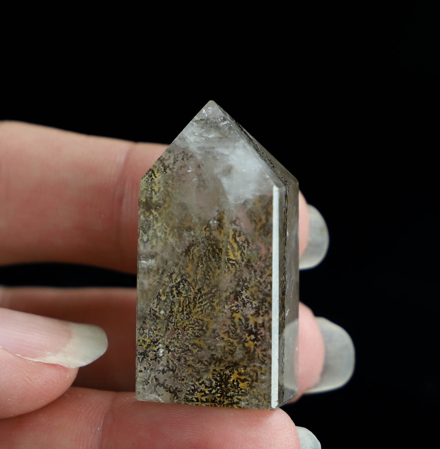 Dendritic Quartz Point