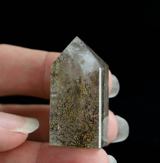 Dendritic Quartz Point