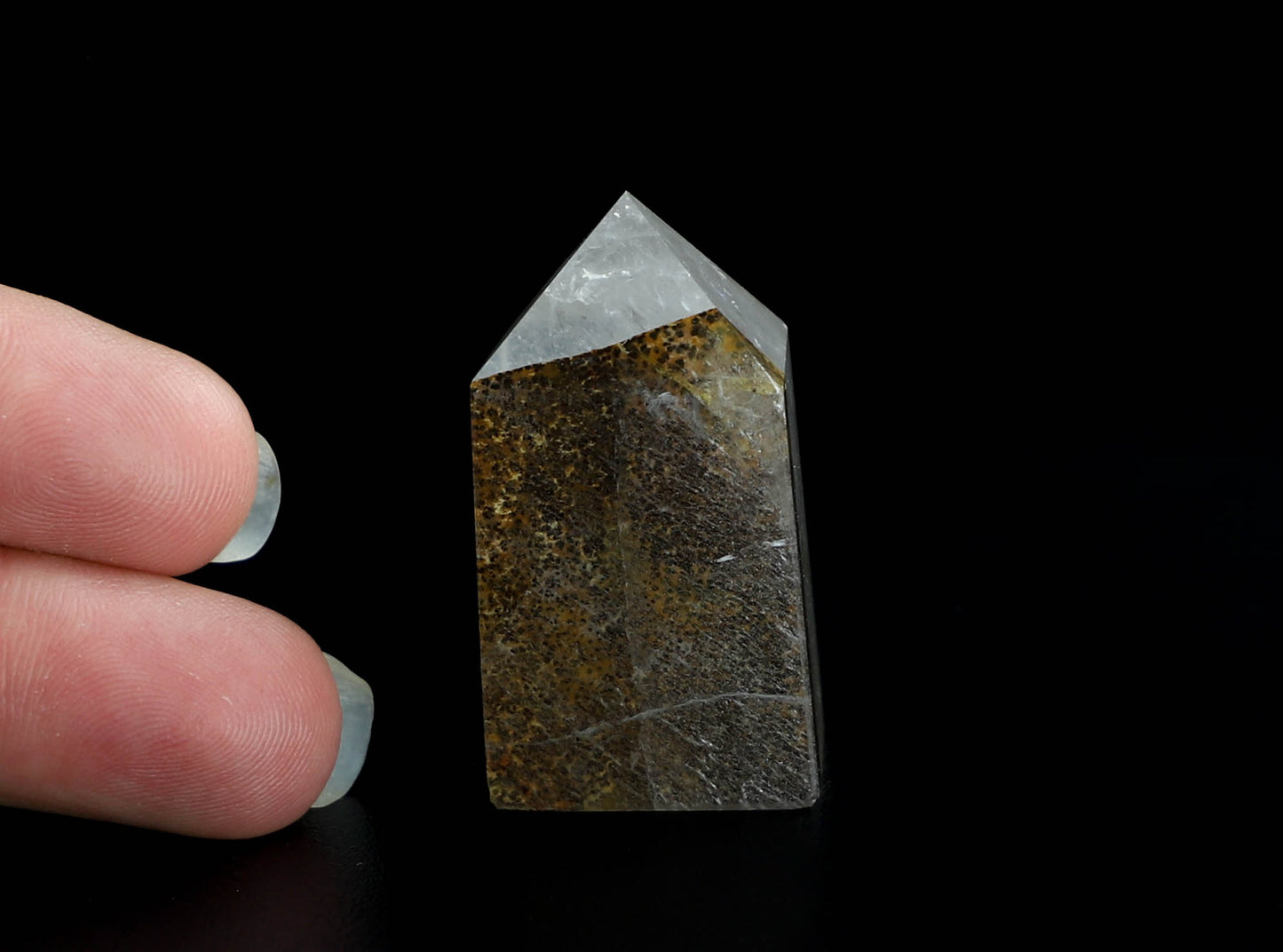 Dendritic Quartz Point