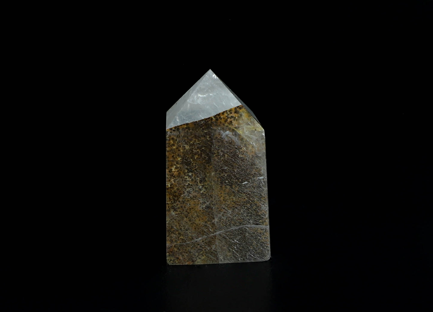Dendritic Quartz Point