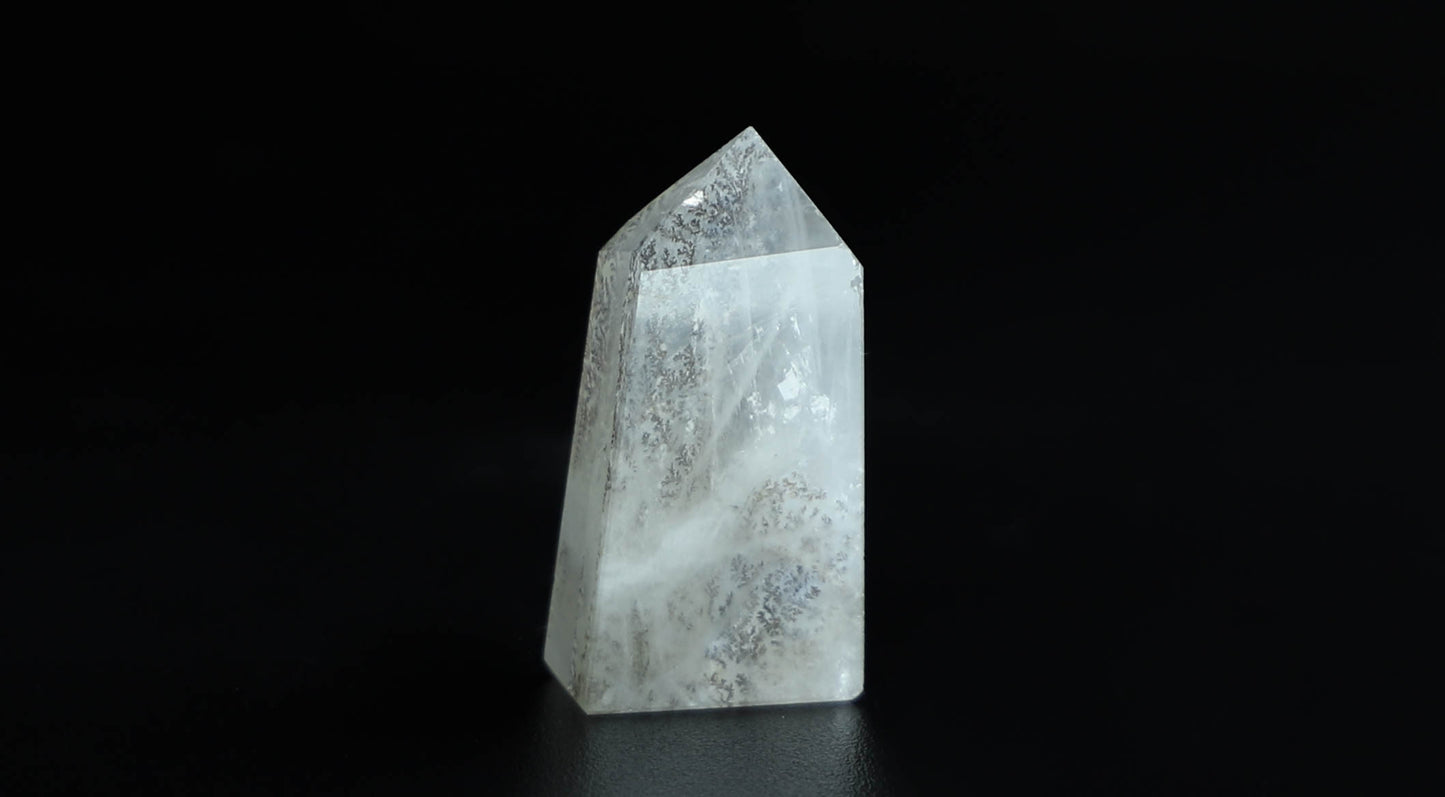 Dendritic Quartz Point