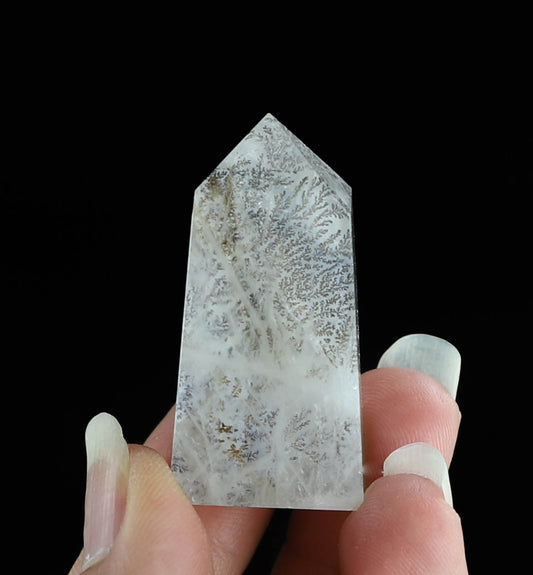 Dendritic Quartz Point