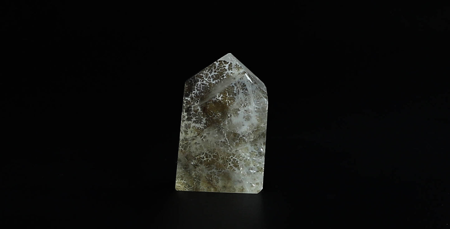 Dendritic Quartz Point