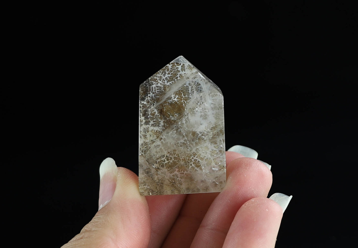 Dendritic Quartz Point