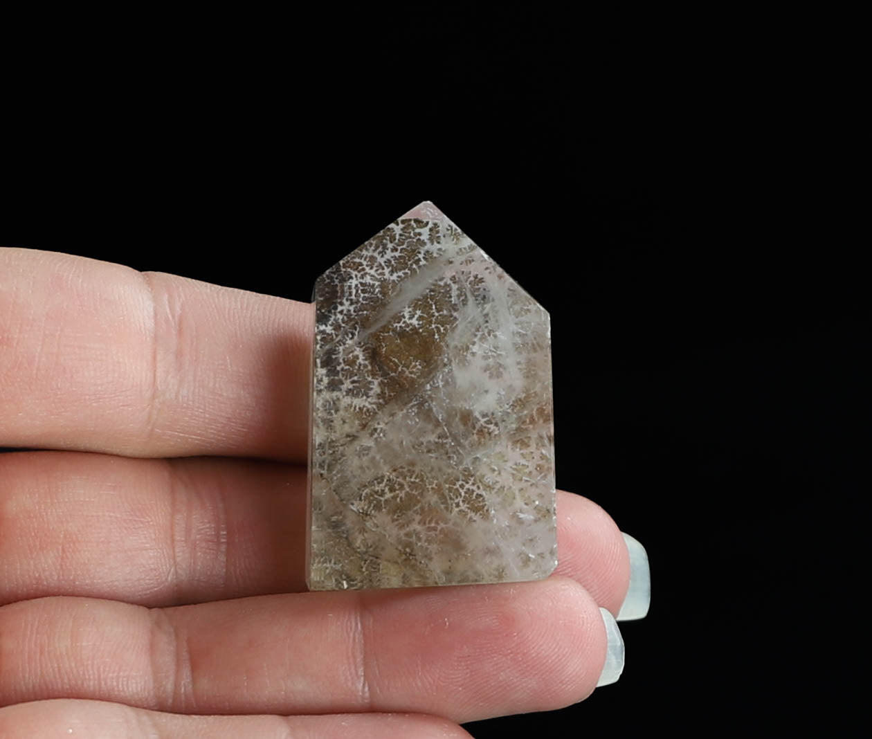 Dendritic Quartz Point