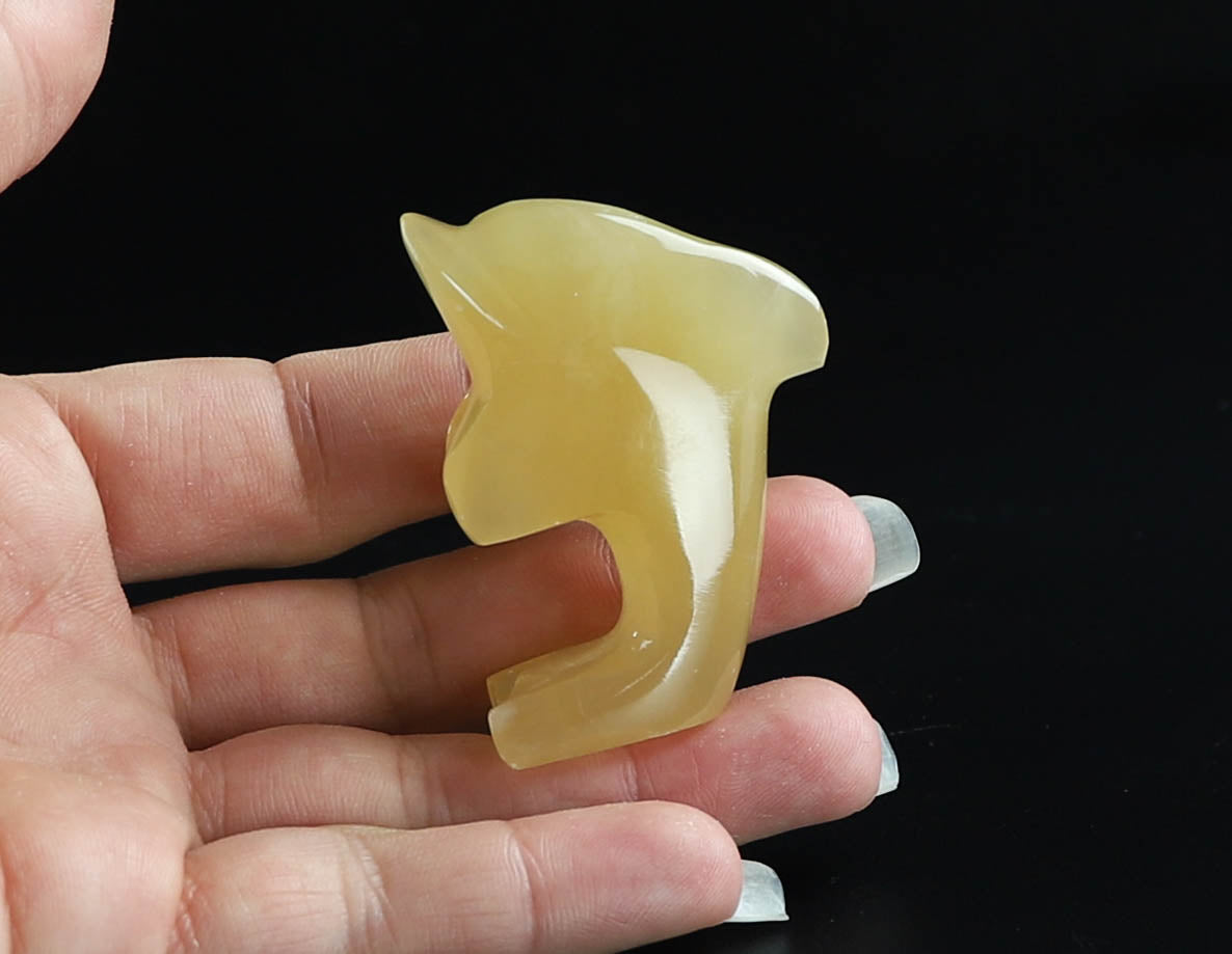 Onyx Dolphin