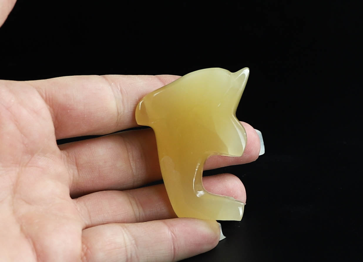 Onyx Dolphin