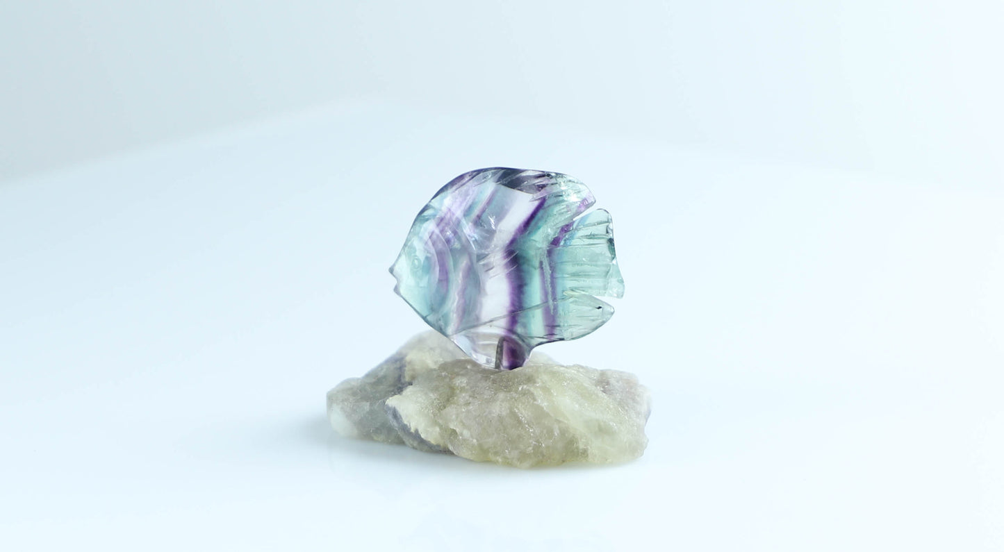 Fluorite Crystal Fish