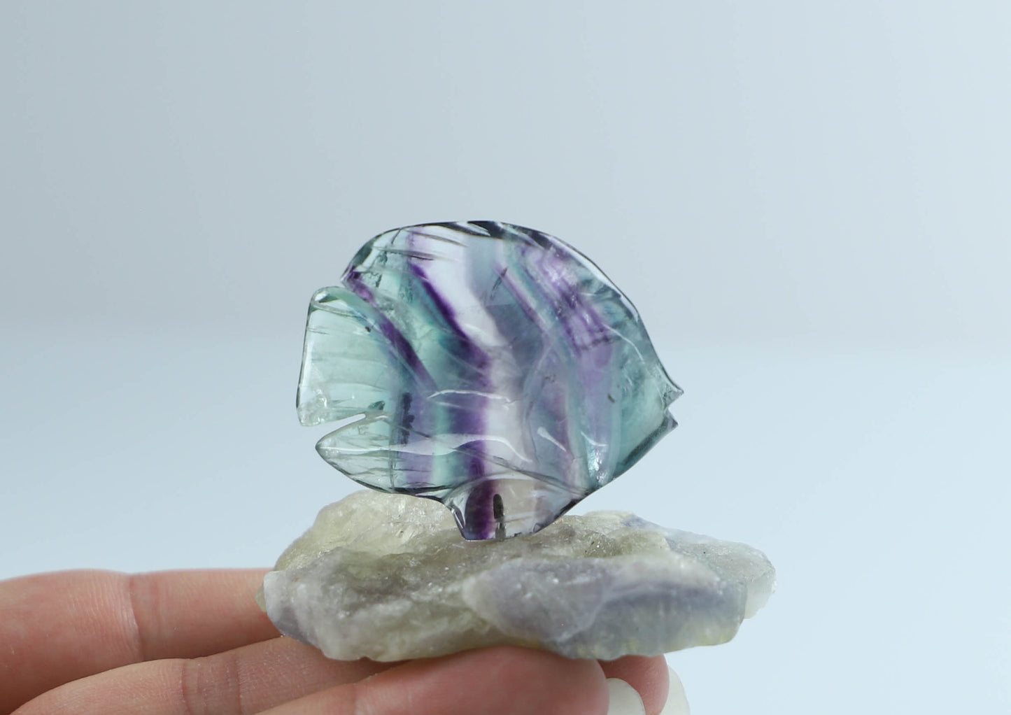 Fluorite Crystal Fish