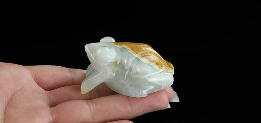 Onyx Frog