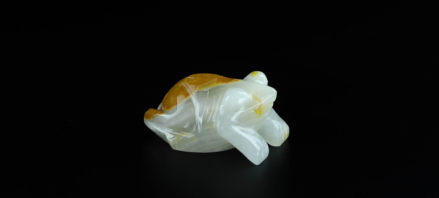 Onyx Frog