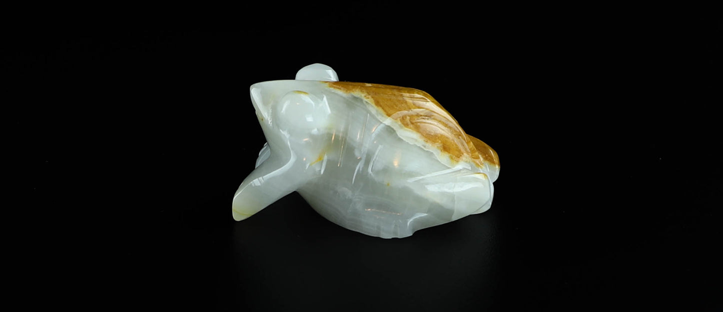Onyx Frog