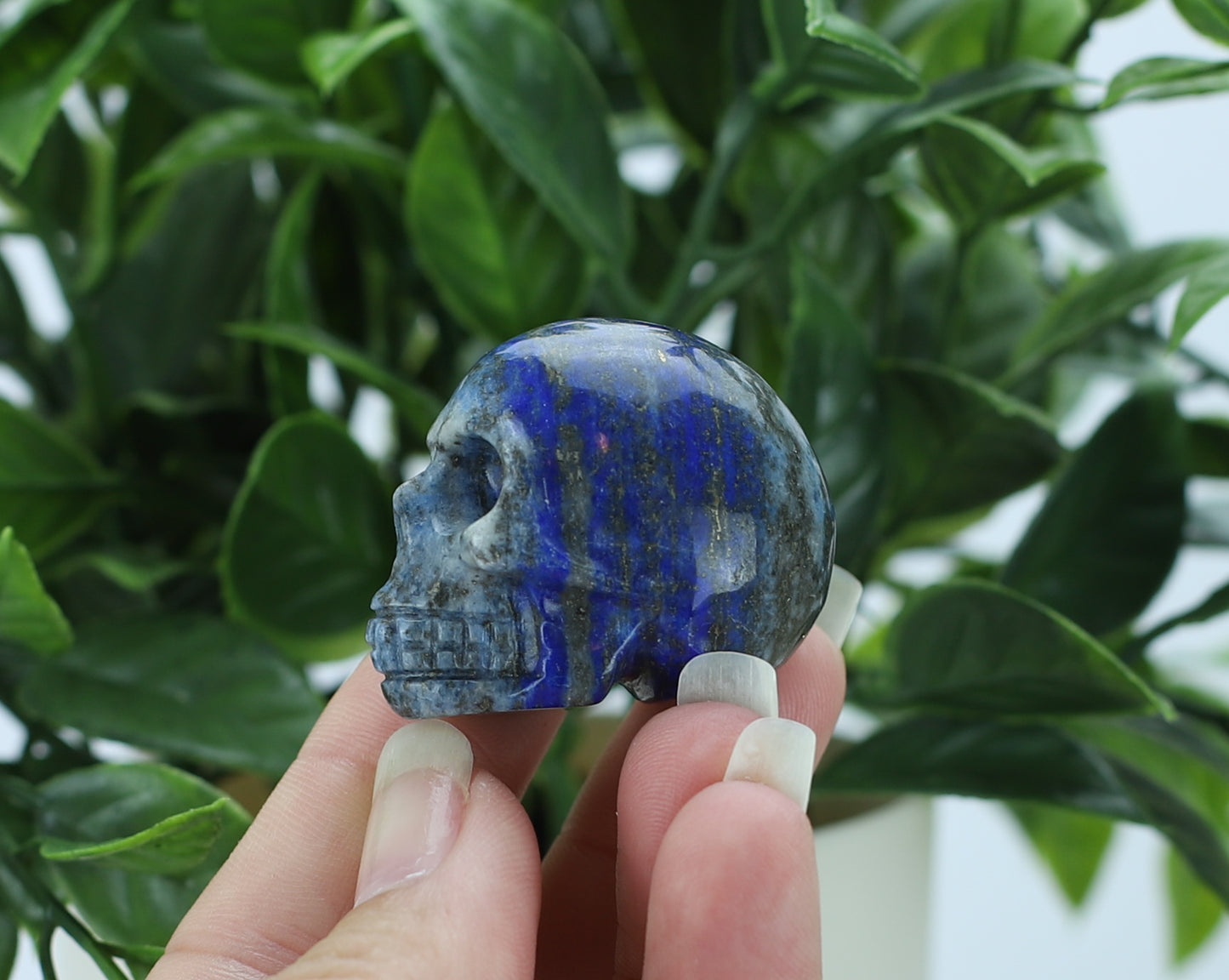 Lapis Lazuli Mini Skull