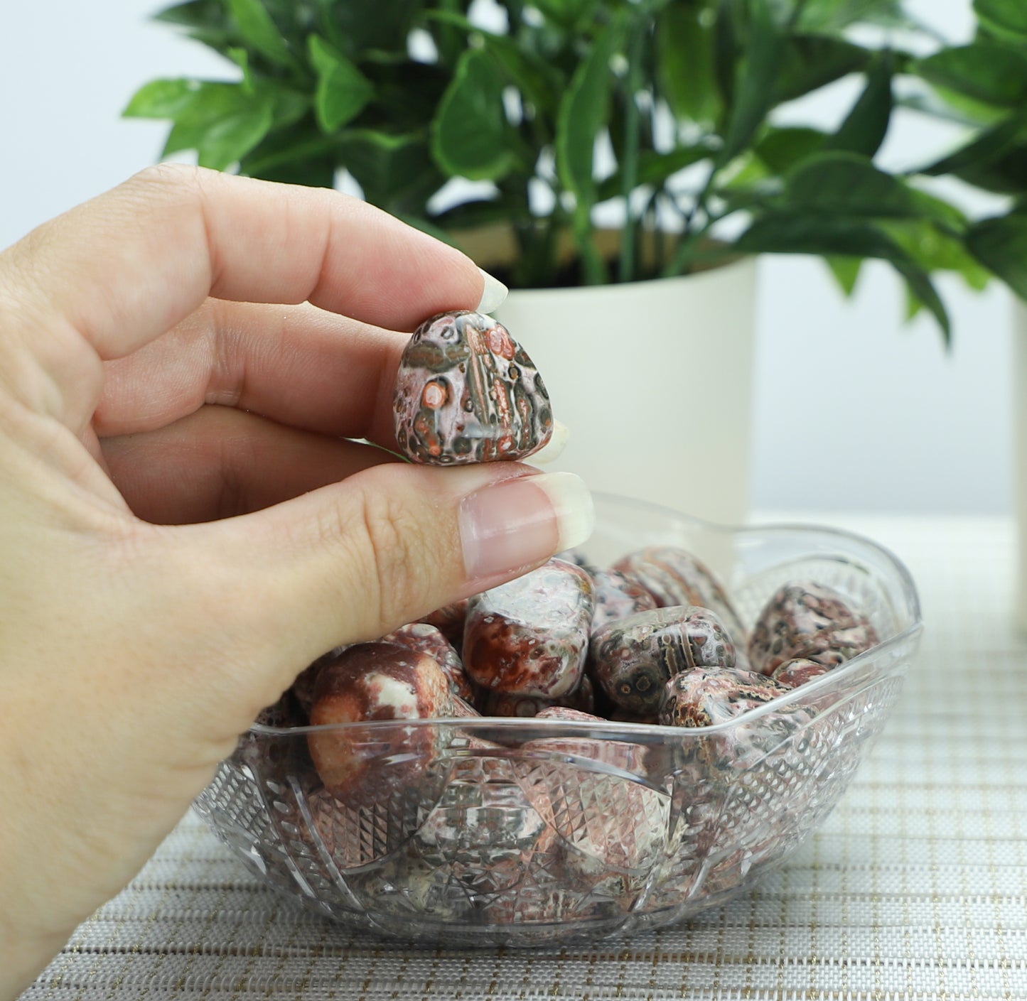 Leopard Skin Jasper Crystal Tumble