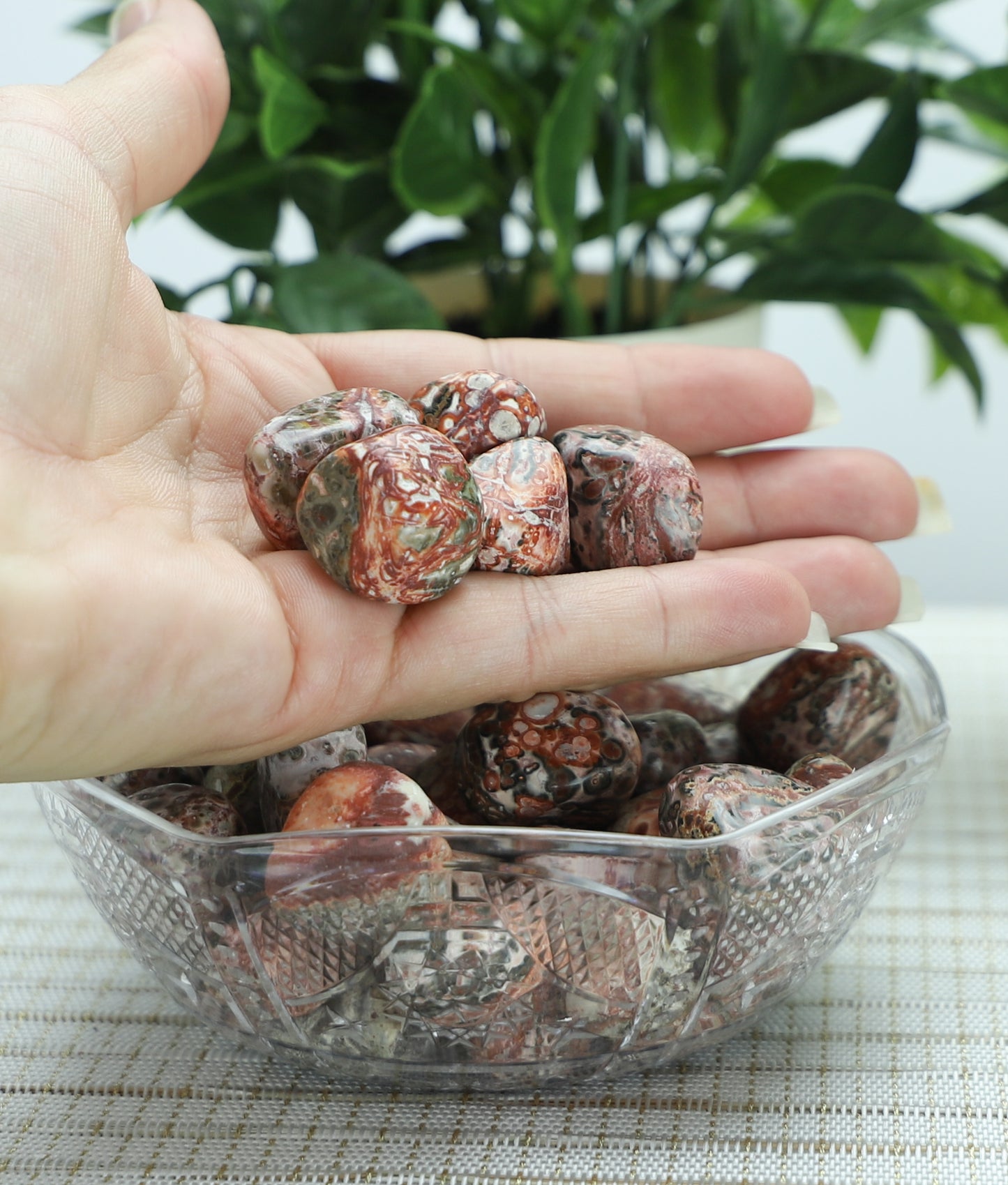 Leopard Skin Jasper Crystal Tumble