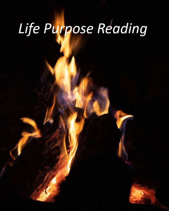 Life Purpose Reading