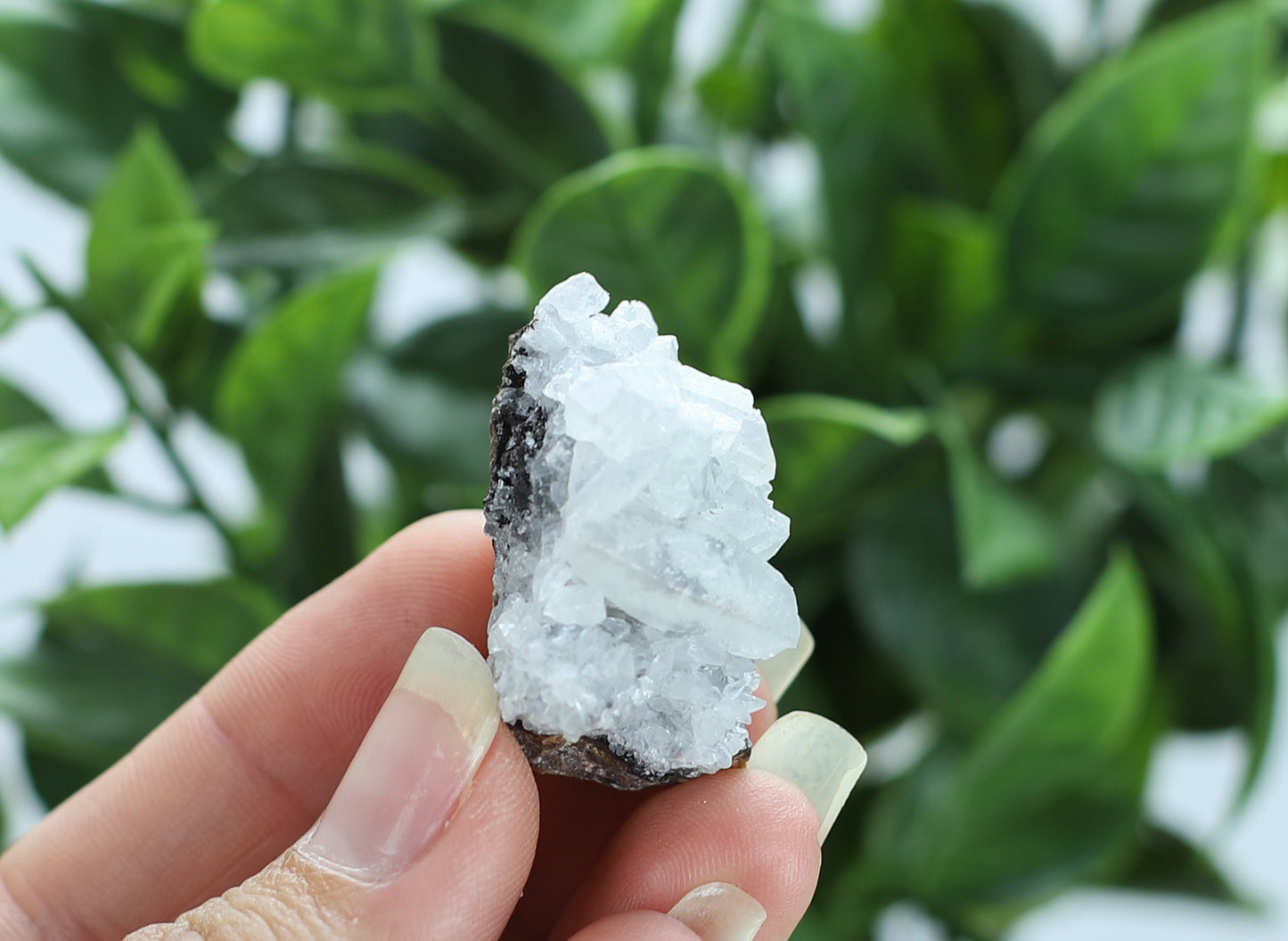 Manganese and Quartz