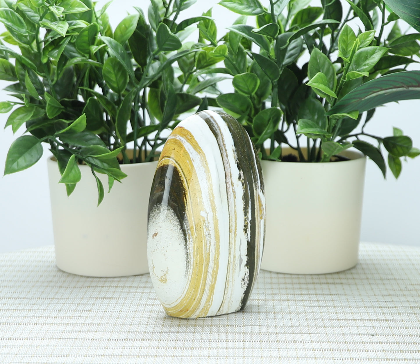 Ocean Jasper Freeform,