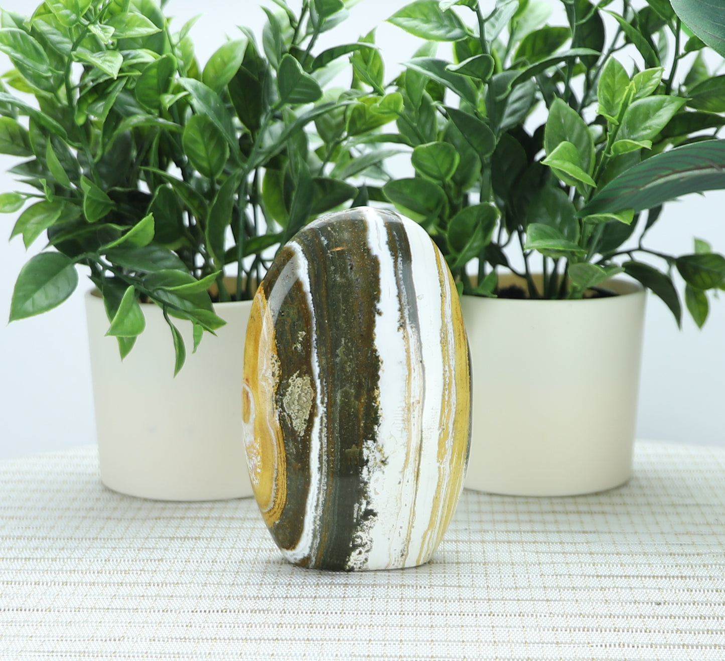 Ocean Jasper Freeform,