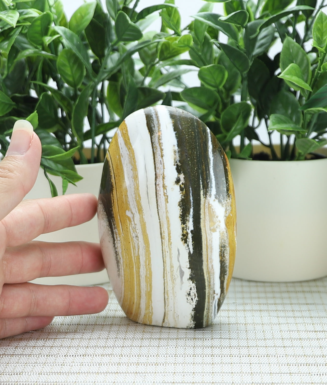 Ocean Jasper Freeform,