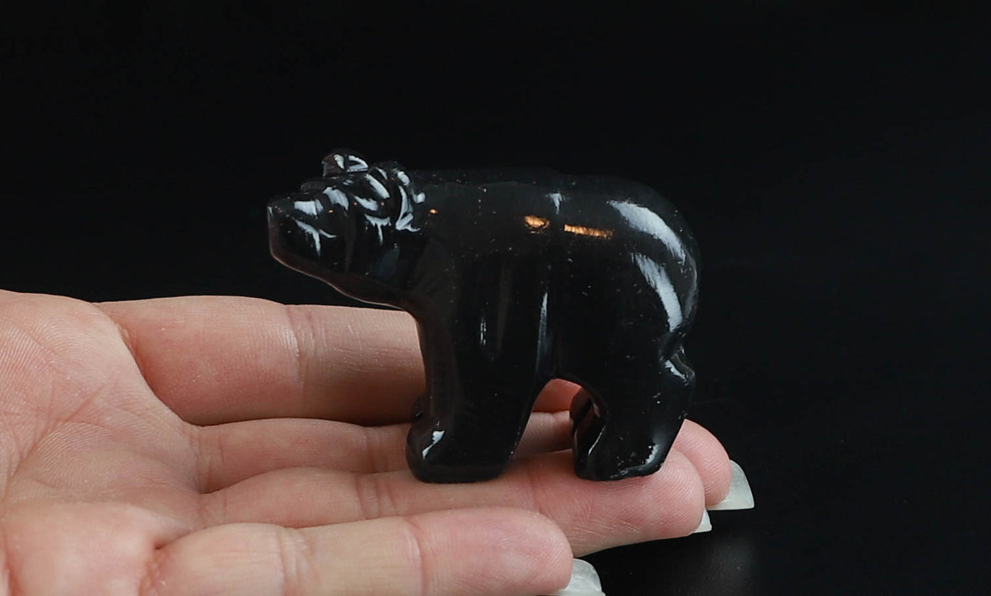 Onyx Bear