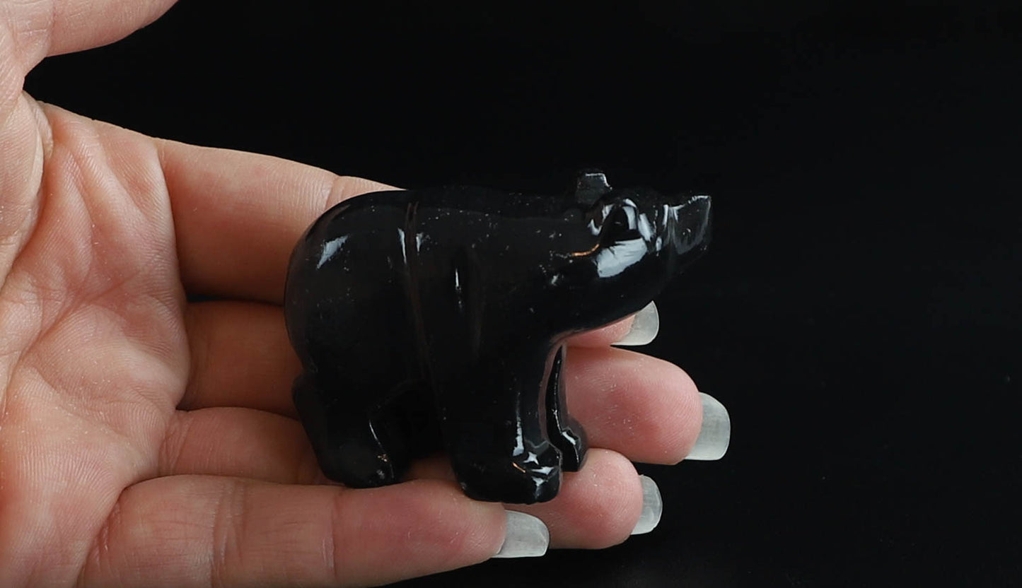 Onyx Bear