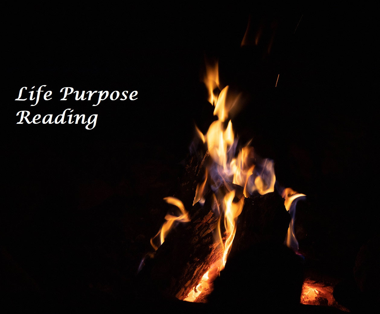 Life Purpose Reading