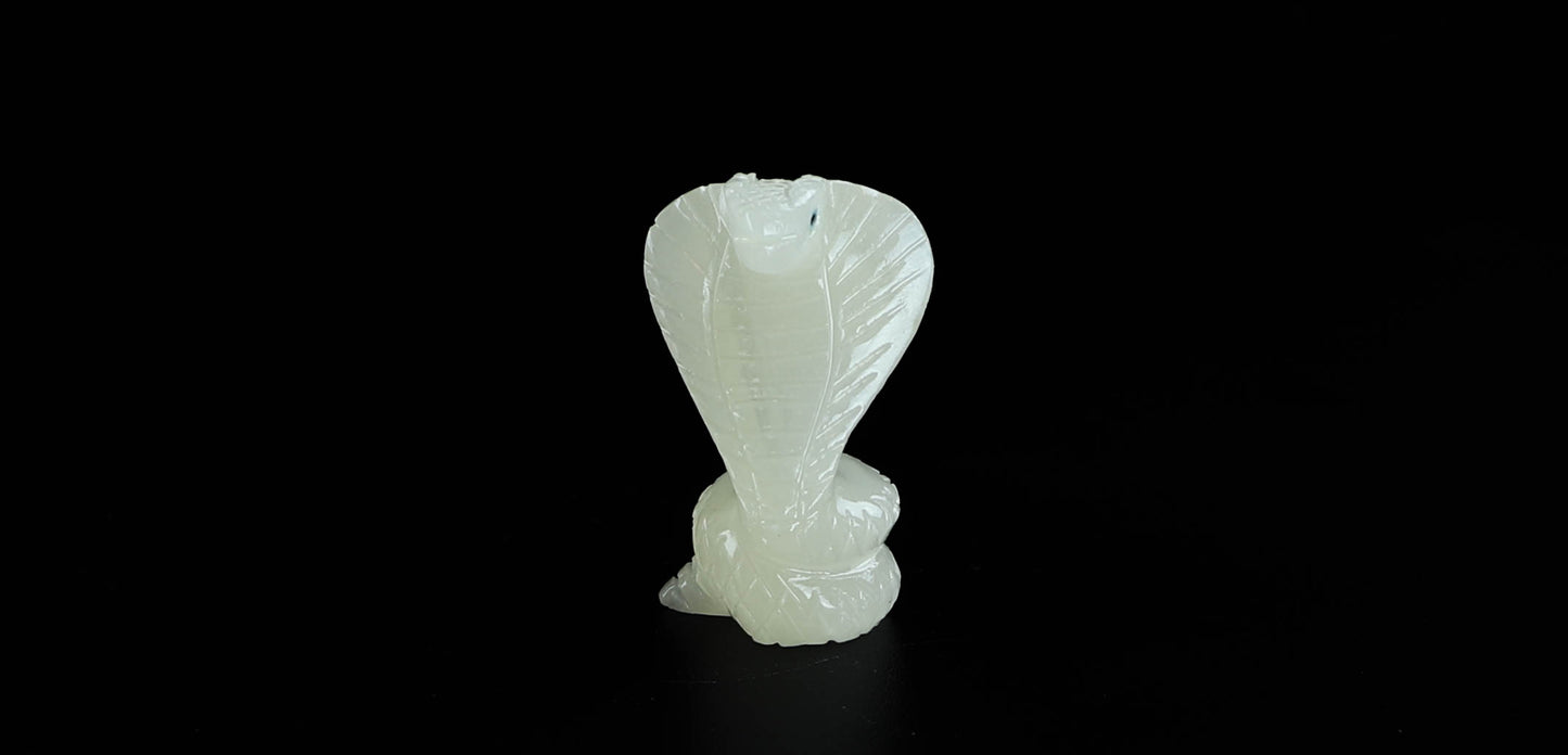 Onyx Snake