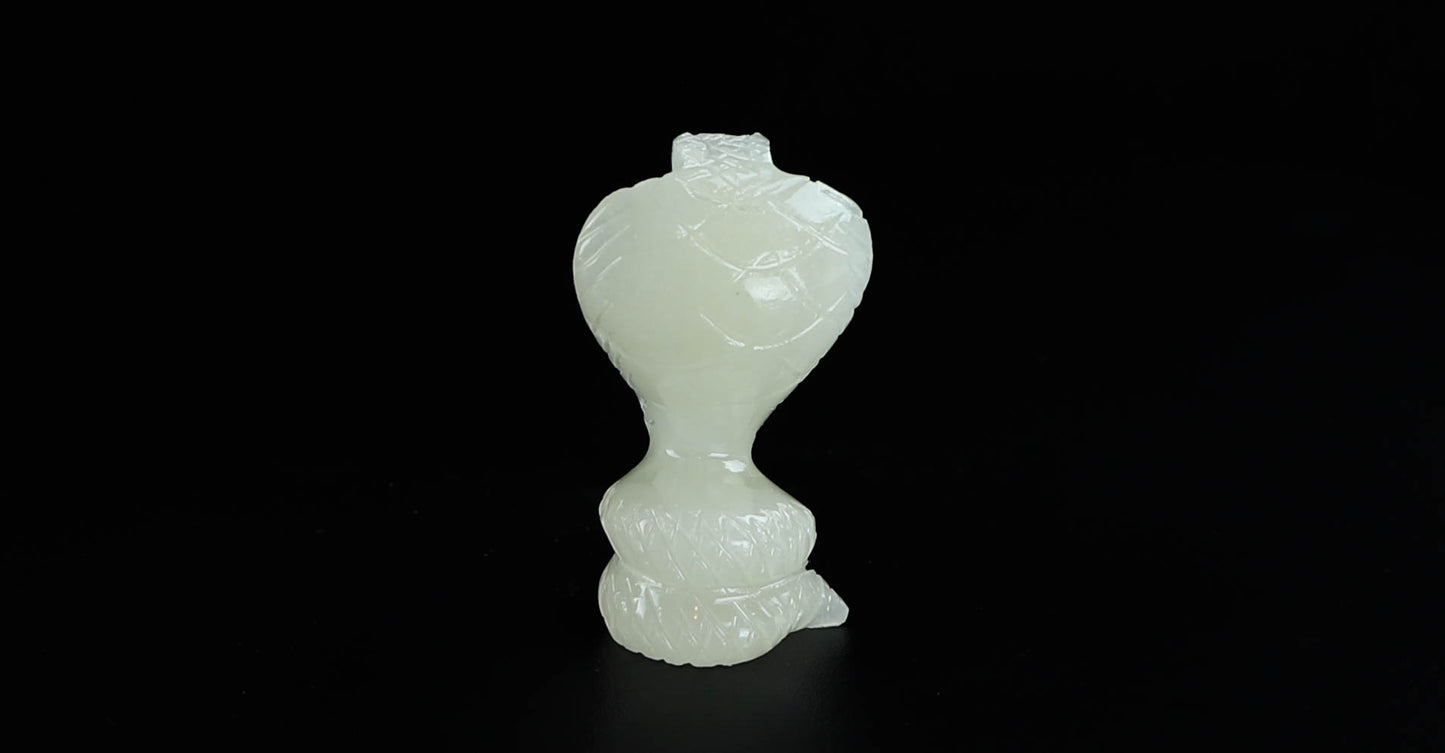Onyx Snake