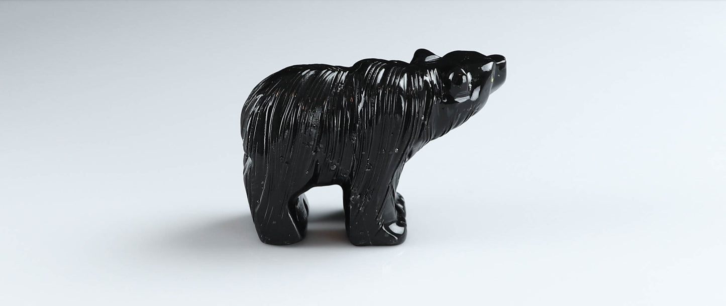 Onyx Bear