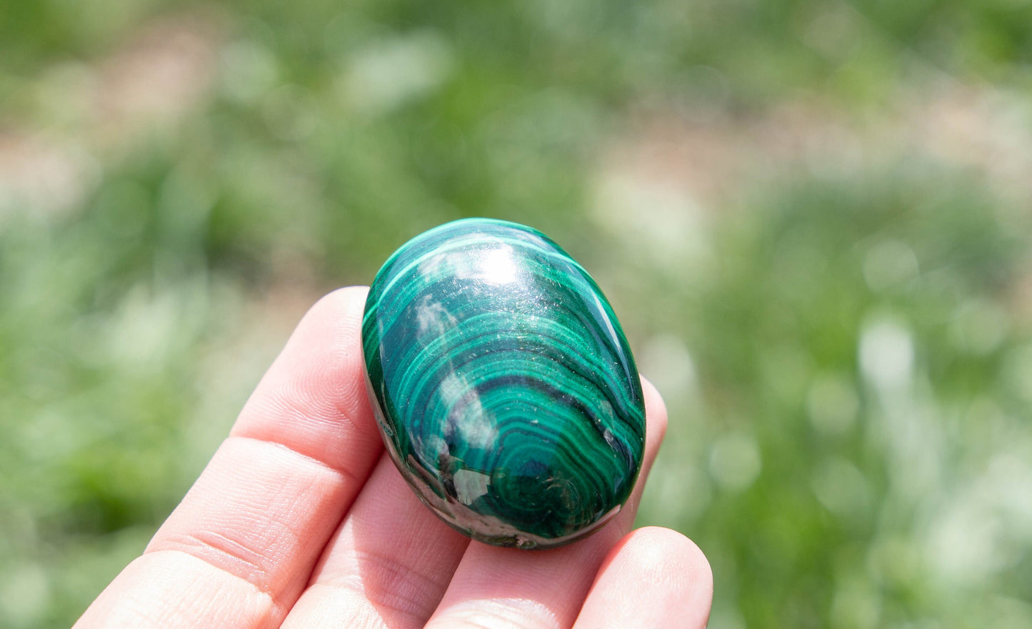 Natural Malachite Palm Stone - Transformative Crystal for Change and Protection